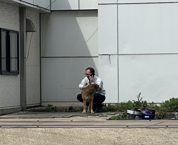 犬との商談