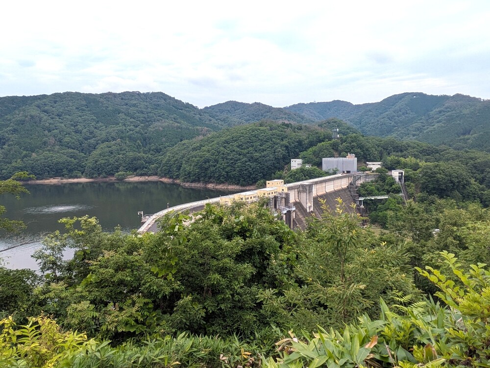 PXL_20260619_022926297